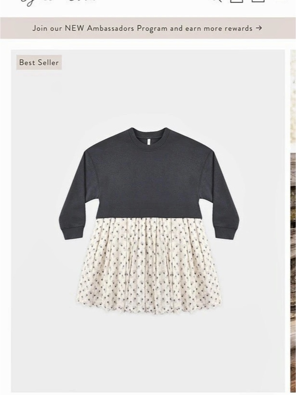 NWT Rylee + Cru Sweatshirt Dress Vintage Fleur 4-5T